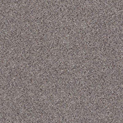 Shaw Floors Foundations Take The Floor Accent II Net Soapstone 00571_5E076