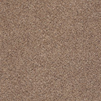 Shaw Floors Foundations Take The Floor Accent II Net Baltic Brown 00770_5E076