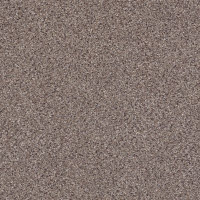 Shaw Floors Value Collections Take The Floor Accent II Net Storm 00771_5E076