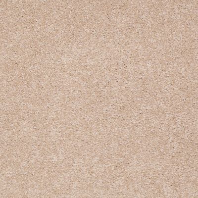 Shaw Floors Value Collections Sandy Hollow Classic I 12 Net Stucco 00110_5E080