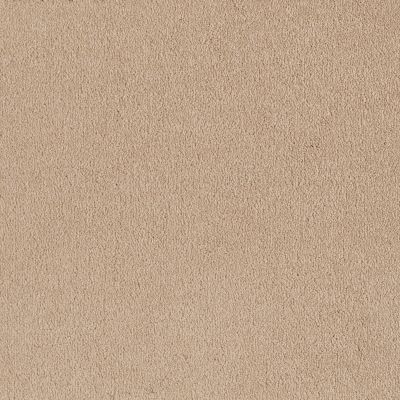 Shaw Floors Value Collections Sandy Hollow Classic I 12 Net Almond Flake 00200_5E080