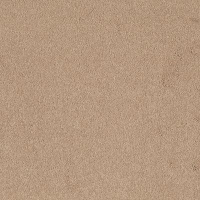 Shaw Floors Value Collections Sandy Hollow Classic I 12 Net Marzipan 00201_5E080