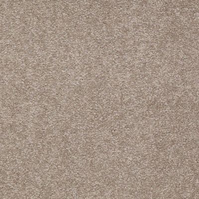 Shaw Floors Value Collections Sandy Hollow Classic I 12 Net Chinchilla 00306_5E080