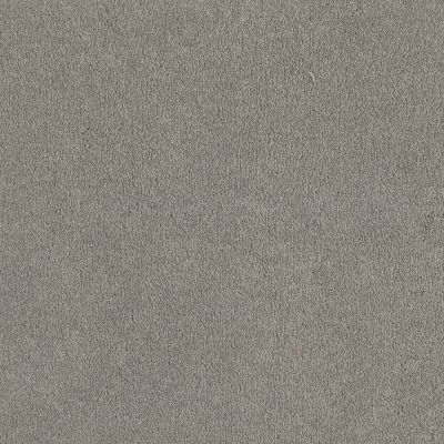 Shaw Floors Value Collections Sandy Hollow Classic I 12 Net Silver Charm 00500_5E080