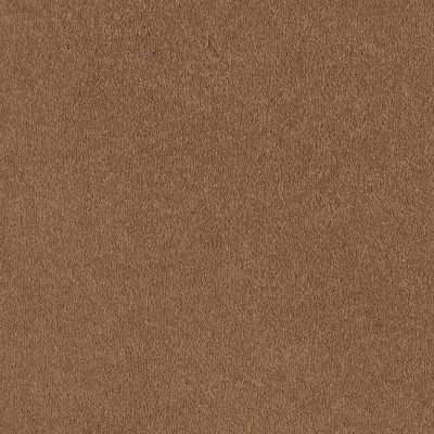 Shaw Floors Value Collections Sandy Hollow Classic I 12 Net Peanut Brittle 00702_5E080