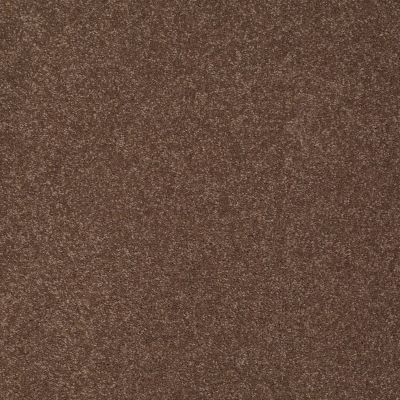 Shaw Floors Value Collections Sandy Hollow Classic I 12 Net Wooden Box 00721_5E080