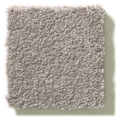 Shaw Floors Simply The Best Montage I Polished Stone 5E081_103S