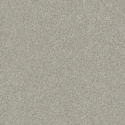 Shaw Floors Simply The Best Montage I Morning Frost 131A_5E081
