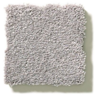 Shaw Floors Simply The Best Montage I Classic Silver 5E081_500S