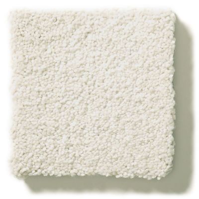 Shaw Floors Simply The Best Montage II Painter’s Canvas 5E082_100S