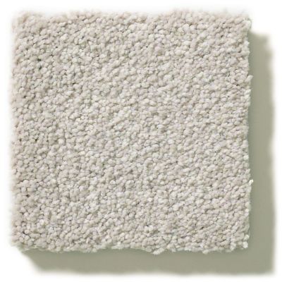 Shaw Floors Simply The Best Montage II Sculptor Clay 5E082_101S