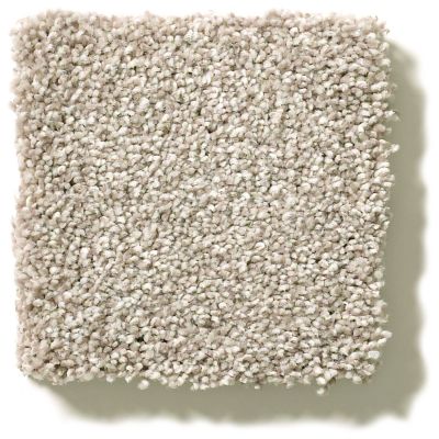 Shaw Floors Simply The Best Montage II Shoreline Haze 5E082_120T