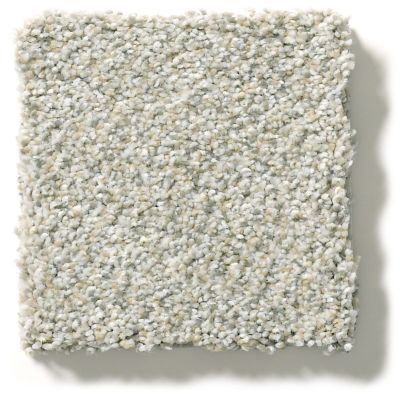Shaw Floors Simply The Best Montage II River Rock 5E082_530A
