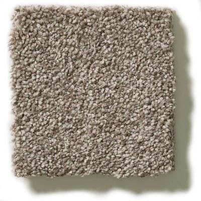 Shaw Floors Simply The Best Montage II Midtown Brown 5E082_720T