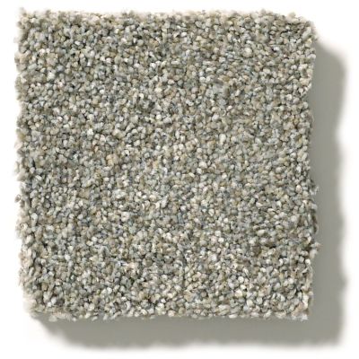 Shaw Floors Simply The Best Montage II Tempting Taupe 5E082_740A