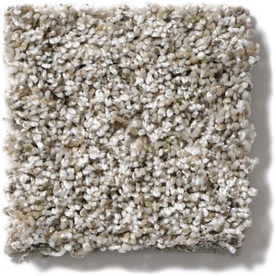 Shaw Floors Simply The Best Absolutely It Heavy Frost 5E084_00100