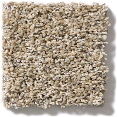 Shaw Floors Simply The Best Absolutely It Sun Glaze 5E084_00200
