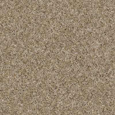 Shaw Floors Simply The Best Absolutely It Camel 00201_5E084