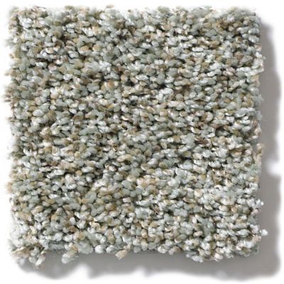 Shaw Floors Simply The Best Absolutely It Winter Chill 5E084_00500