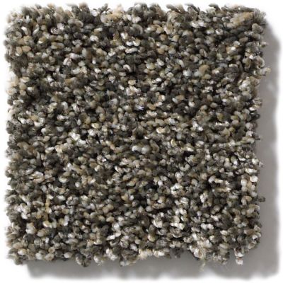 Shaw Floors Simply The Best Absolutely It Trade Winds 5E084_00502