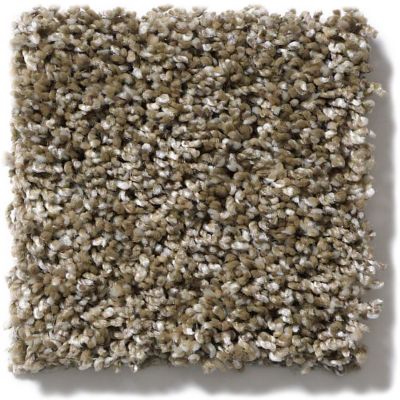Shaw Floors Simply The Best Absolutely It Split Rail 5E084_00700