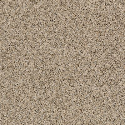 Shaw Floors Value Collections Absolutely It Net Sun Glaze 00200_5E093