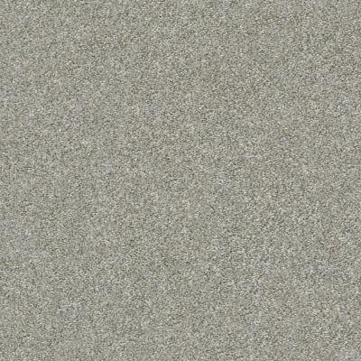 Shaw Floors Simply The Best Attainable Net Clay 122T_5E094