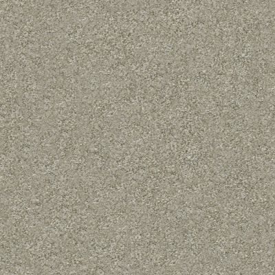 Shaw Floors Simply The Best Attainable Net Winter Dunes 123T_5E094