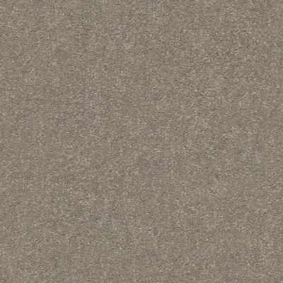 Shaw Floors Value Collections Attainable Net Smooth Taupe 700S_5E094