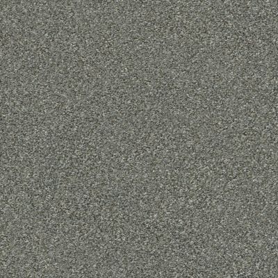 Shaw Floors Simply The Best Attainable Net Cedar Ridge 721T_5E094