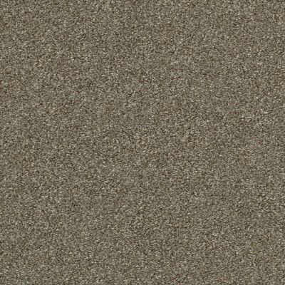 Shaw Floors Simply The Best Attainable Net Fox Hollow 722T_5E094