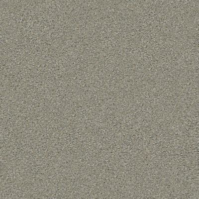 Shaw Floors Simply The Best Momentum I Net Rockslide 740A_5E096