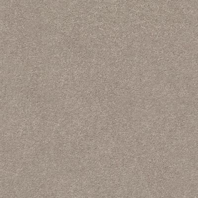 Shaw Floors Simply The Best Montage I Net Parisian Lights 102S_5E098