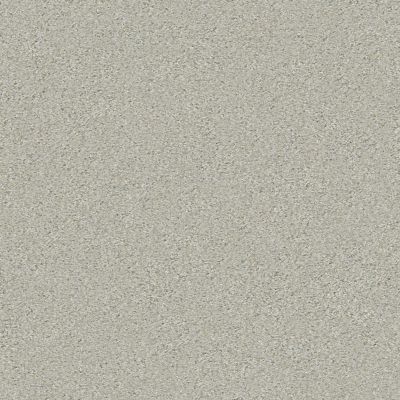 Shaw Floors Value Collections Montage I Net River Rock 530A_5E098