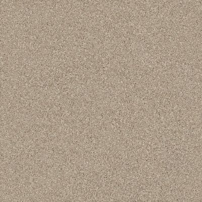 Shaw Floors Value Collections Montage I Net Midtown Brown 720T_5E098