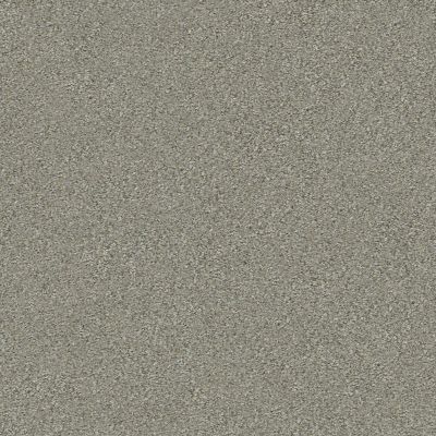 Shaw Floors Simply The Best Montage I Net Tempting Taupe 740A_5E098