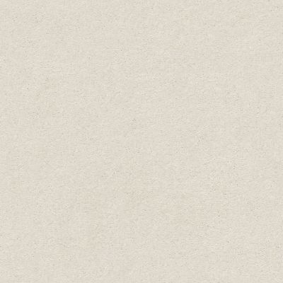 Shaw Floors Simply The Best Montage II Net Painter’s Canvas 100S_5E099