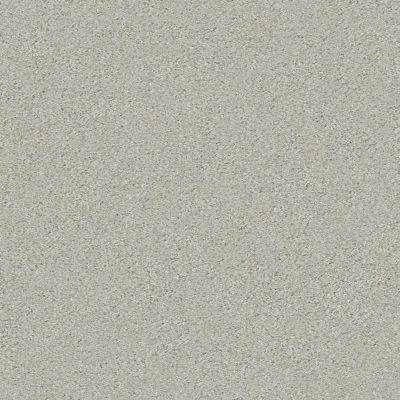 Shaw Floors Simply The Best Montage II Net River Rock 530A_5E099