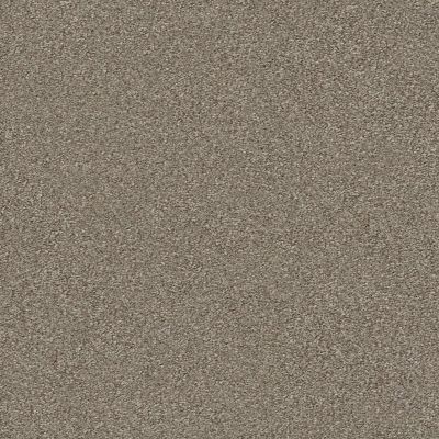 Shaw Floors Value Collections Montage II Net Midtown Brown 720T_5E099