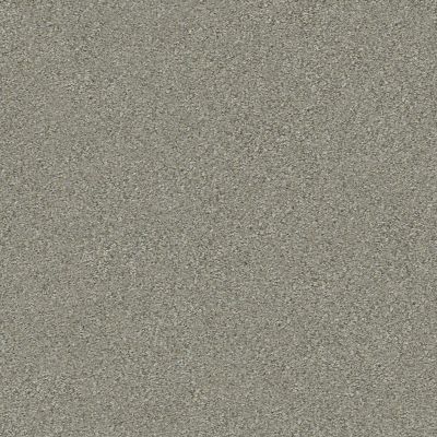 Shaw Floors Value Collections Montage II Net Tempting Taupe 740A_5E099