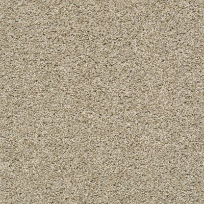 Shaw Floors Value Collections Poised Net Cork 00220_5E102