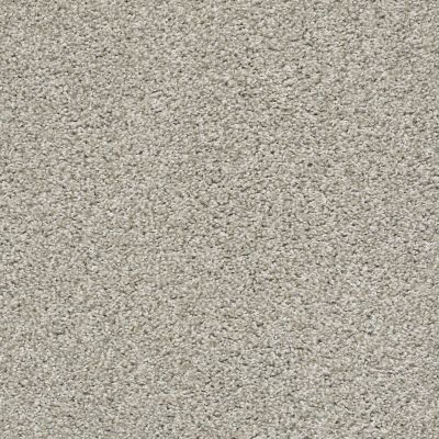 Shaw Floors Value Collections Poised Net Winter Birch 00510_5E102