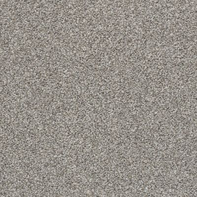 Shaw Floors Value Collections Poised Net Flannel Gray 00713_5E102