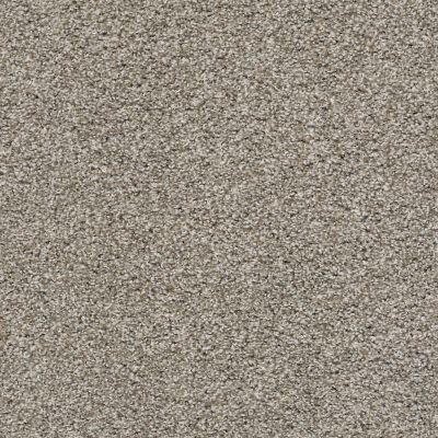 Shaw Floors Value Collections Poised Net Studio Loft 00722_5E102