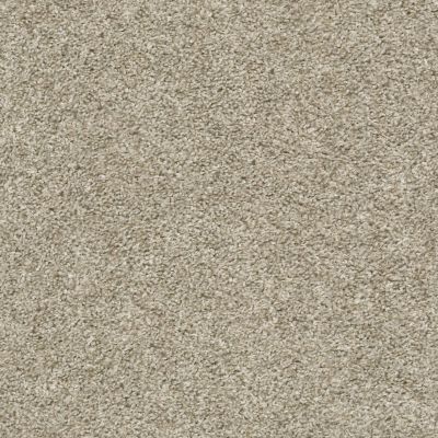 Shaw Floors Everlasting Tonal Stucco 00112_5E170