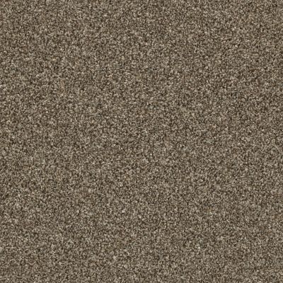 Shaw Floors Everlasting Tonal Roasted Coffee 00721_5E170
