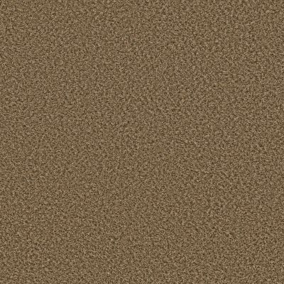 Shaw Floors Break Away (b) Wicker 00211_5E242