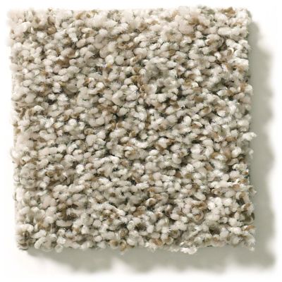 Shaw Floors Break Away (t) Flax 5E244_00112