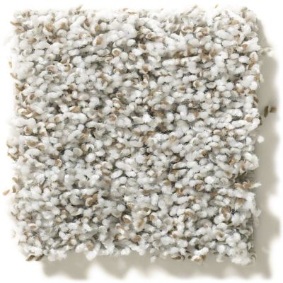 Shaw Floors Break Away (t) Chrome 5E244_00520