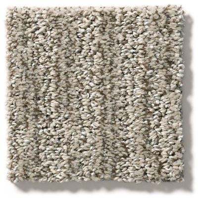 Shaw Floors Simply The Best Easy Fit Mesa 5E254_00102